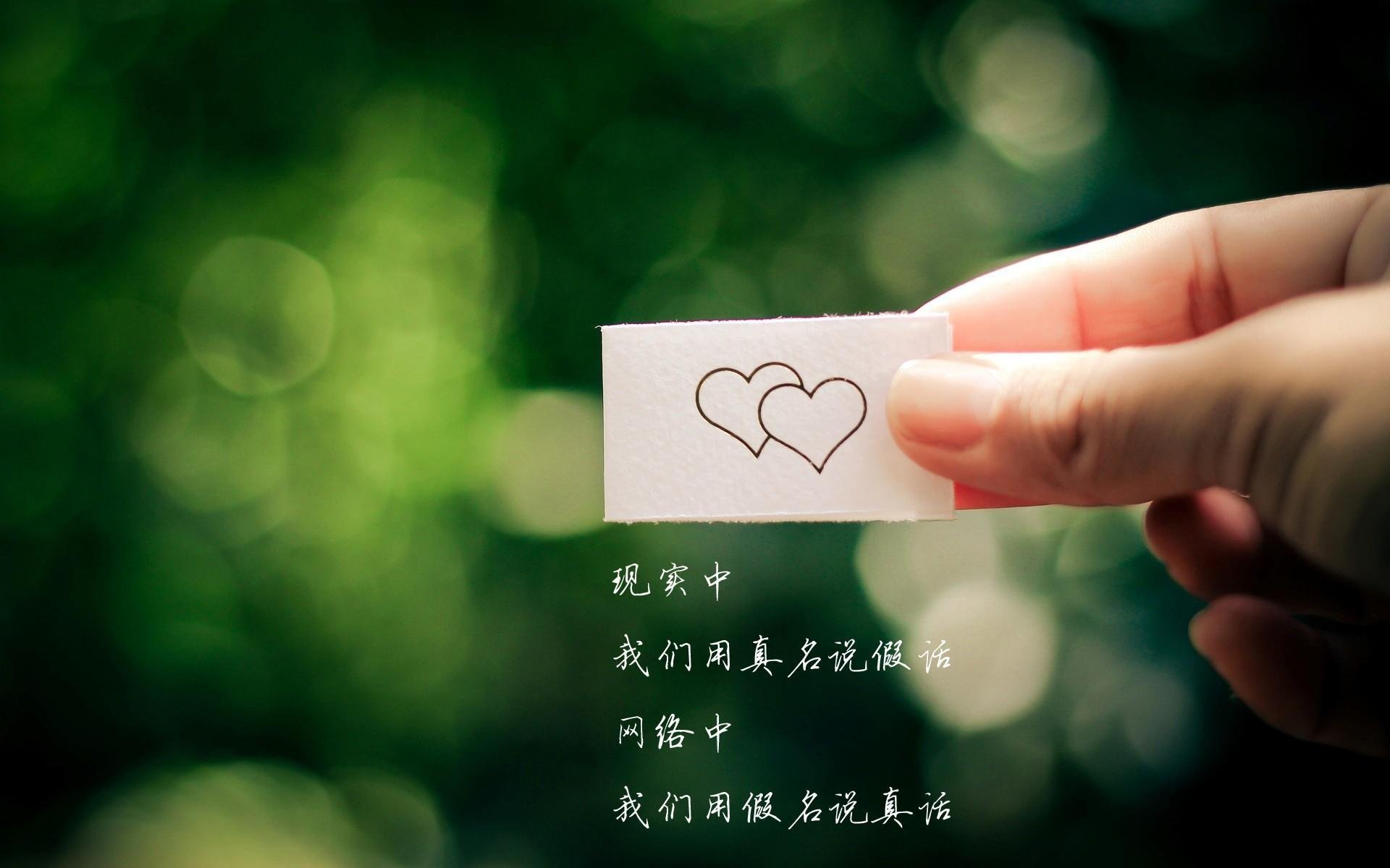 有机蔬菜生产基地（有机蔬菜基地简介）